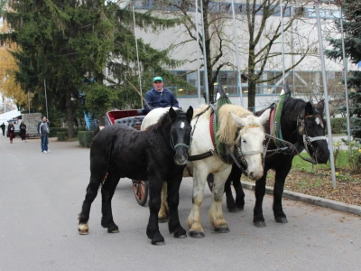 Otvorenje sajma Croagro 2019.