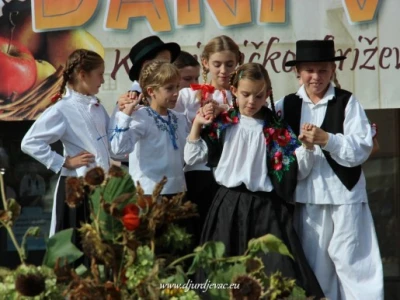 Mali folkloraši