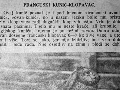 Isjećak iz novina