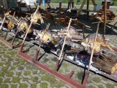 Šaran na rašljama