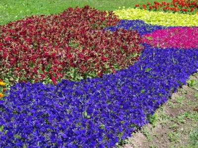"Floraart" - 51. međunarodna vrtna izložba