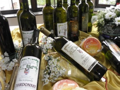 Službeno otvaranje Vinodara 5. lipnja u dvorcu Janković
