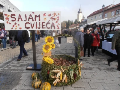 Cvjetna košarica za selfi - hit u Ždralovu gradu