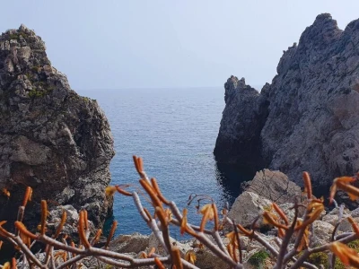 Palagruža