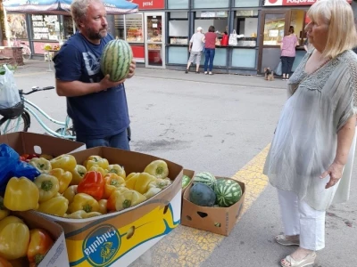 Palika Bajči