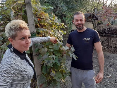 Paprikafest u Lugu