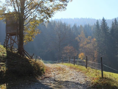 Pašnjaci i šume farme Bauernhof Leitner iznad 1000m/nv