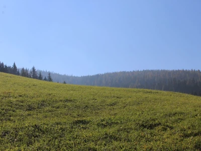 Pašnjaci i šume farme Bauernhof Leitner iznad 1000m/nv