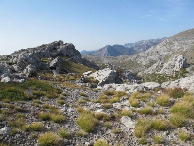 Pašnjaci na Velebitu