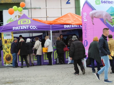 Patent Co.