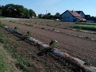 OPG Kruno Pavlović
