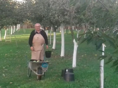 OPG Kovačić