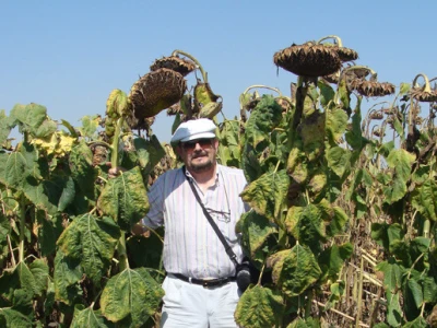 Zlatko Pavošević