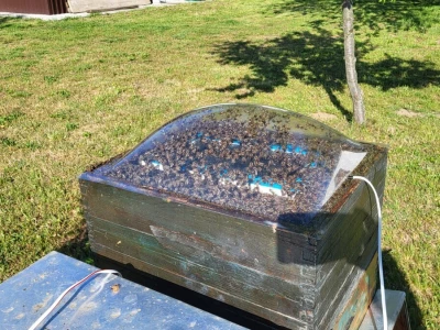 Pčelarstvo
