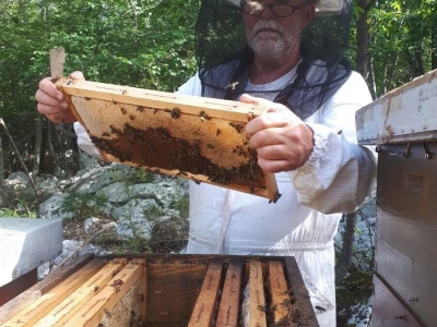 Pčelarstvo Kos