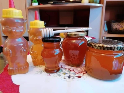 Pčele u potresu