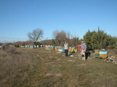 Pčelinjak obitelji Čokolić - ovih dana u Novm Selima