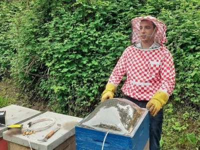 Pčelinji otrov