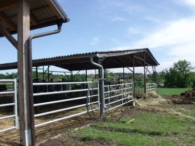 Perčec