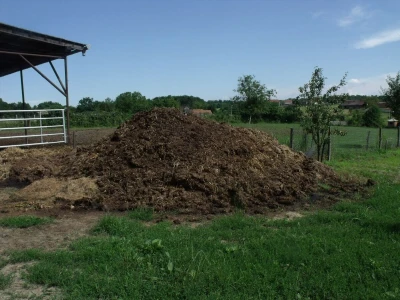 Perčec