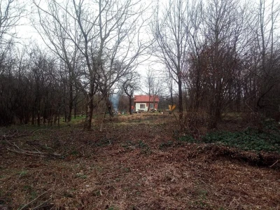 Permakultura Zlatna Jutra