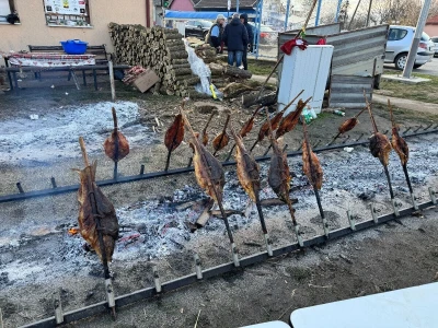 Petaračke buše 2026. Baranjsko Petrovo Selo