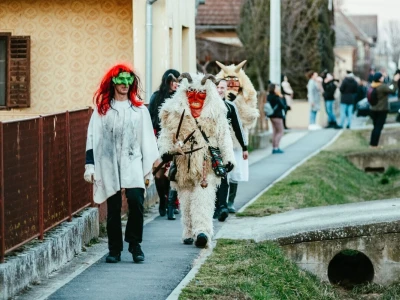 Petaračke buše