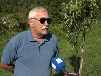 Petrinjski maron