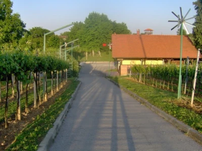 Ulaz u vinograd
