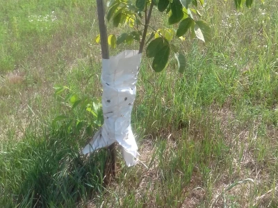 Pomažu, no ne u potpunosti