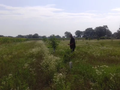 Barem dva puta godišnje trava se mora pokositi