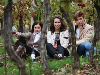 Vinarija Pinkert