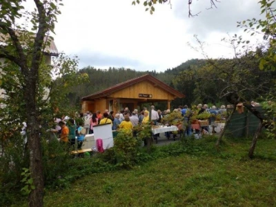 Dan krušaka