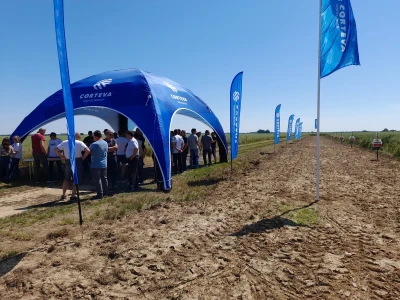 Pioneer dan polja uljane repice