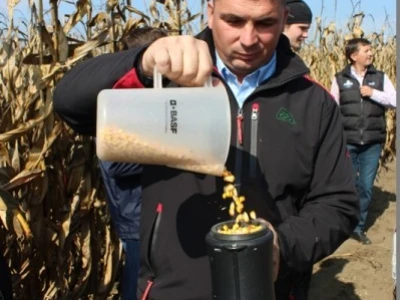 Davor mjeri vlagu
