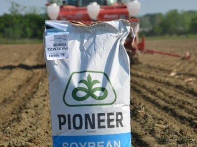 Pioneer hibrid soje