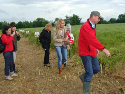 Dupont Pioneer Dan polja uljane repice