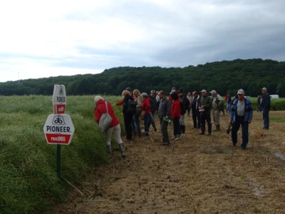 Dupont Pioneer Dan polja uljane repice