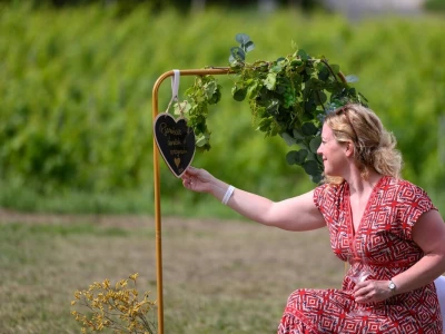 Pjenušavi doručak u vinogradu