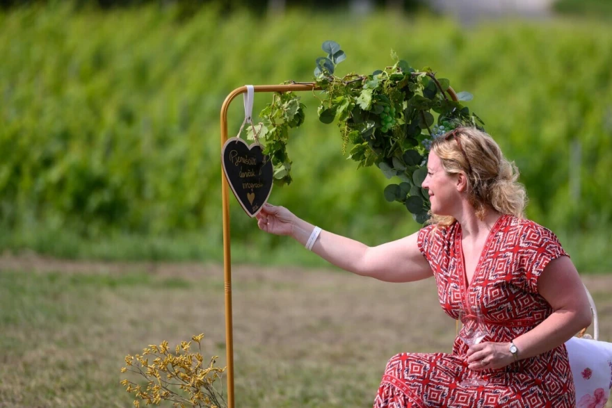 Vinograd scenografija