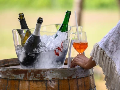 Pjenušavi doručak u vinogradu