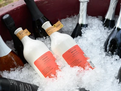 Pjenušavi doručak u vinogradu