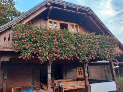 Pjenušci sa Plešivice