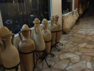 Plamenjača uništava pelješko vinogorje