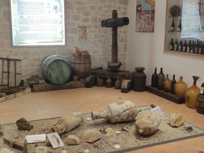 Plamenjača uništava pelješko vinogorje
