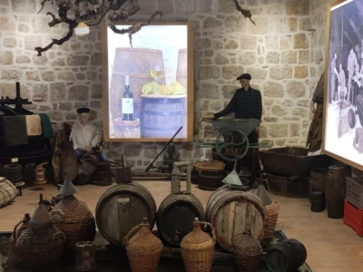 Plamenjača uništava pelješko vinogorje