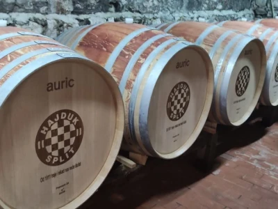 Plamenjača uništava pelješko vinogorje