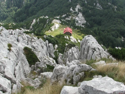 Planine