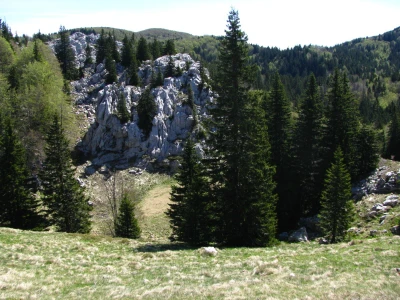Planine