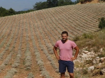 Plantaža mladog smilja u okolici Rame i Prozora